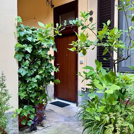 アパート Heart Of Porta Venezia - Cozy Loft - 2mts To M4 Metro ミラノ